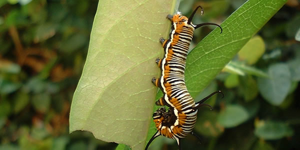 永久授权不过期的网页在线DDOS压力测试